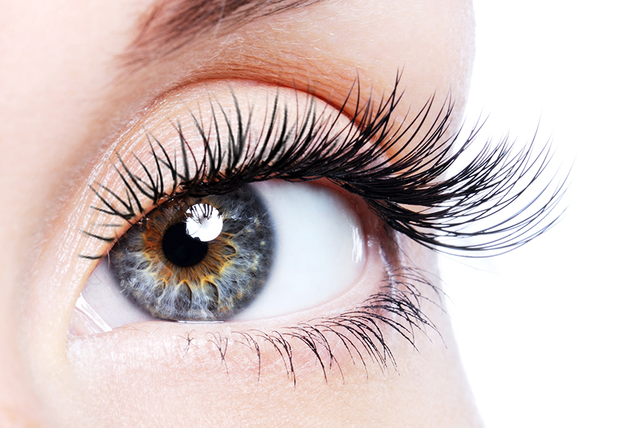 Beauty female eye with curl long eyelashes